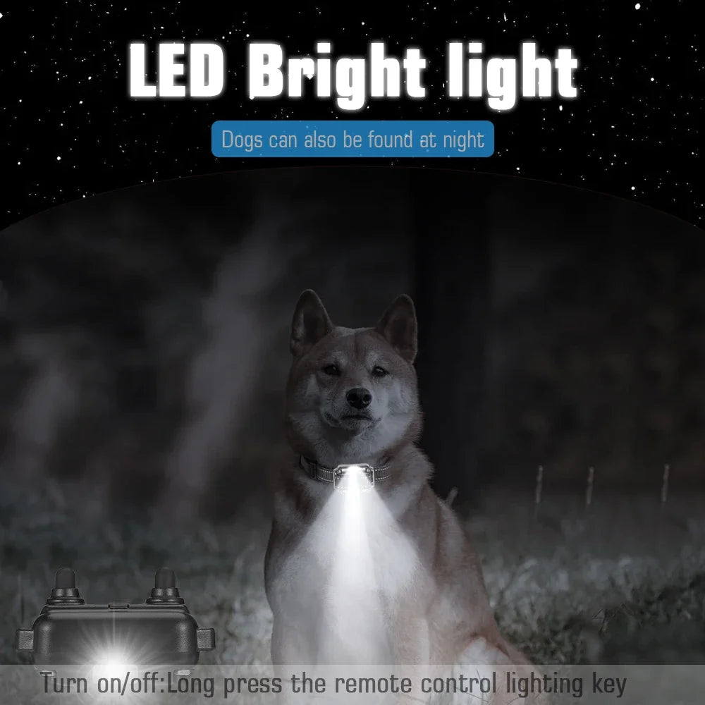 Dog Training Collar with Remote