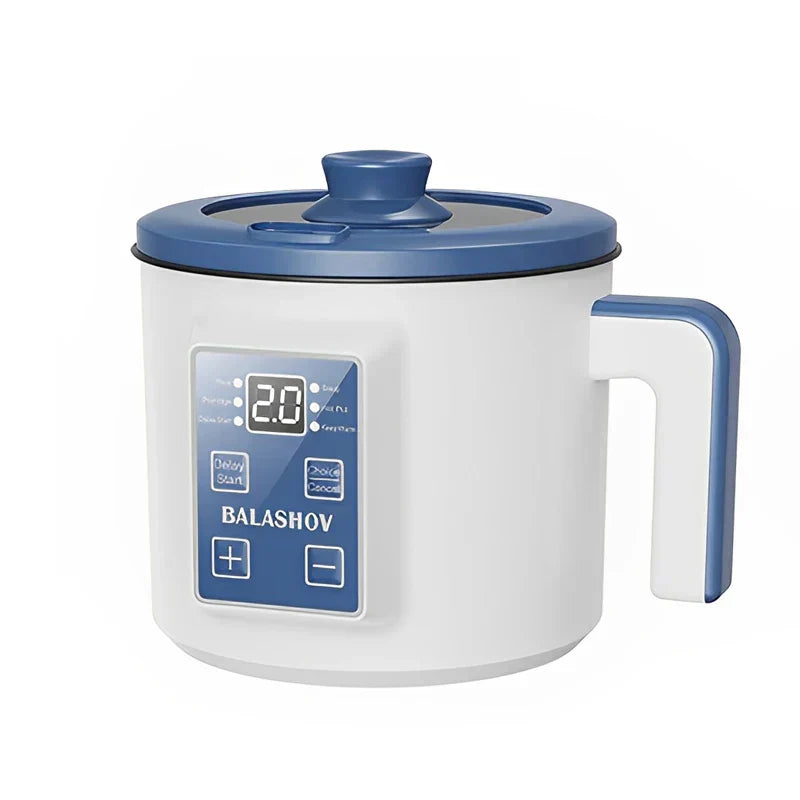 220V Multi-Function Electric Rice Cooker (Single/Double Layer)