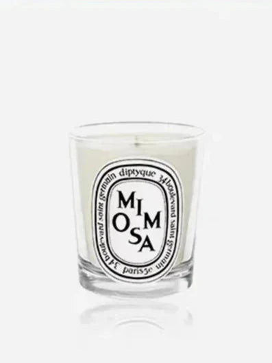 Aromatherapy Natural Diffuser candle - MONLANE