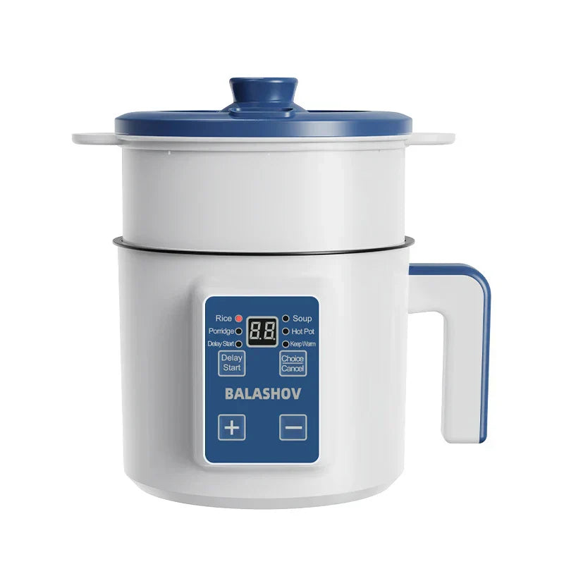 220V Multi-Function Electric Rice Cooker (Single/Double Layer)