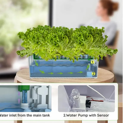 Smart growing systems