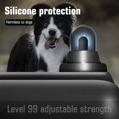 Dog Training Collar with Remote