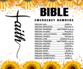 8820b7249c305c262488384a6894cd5e_thumb