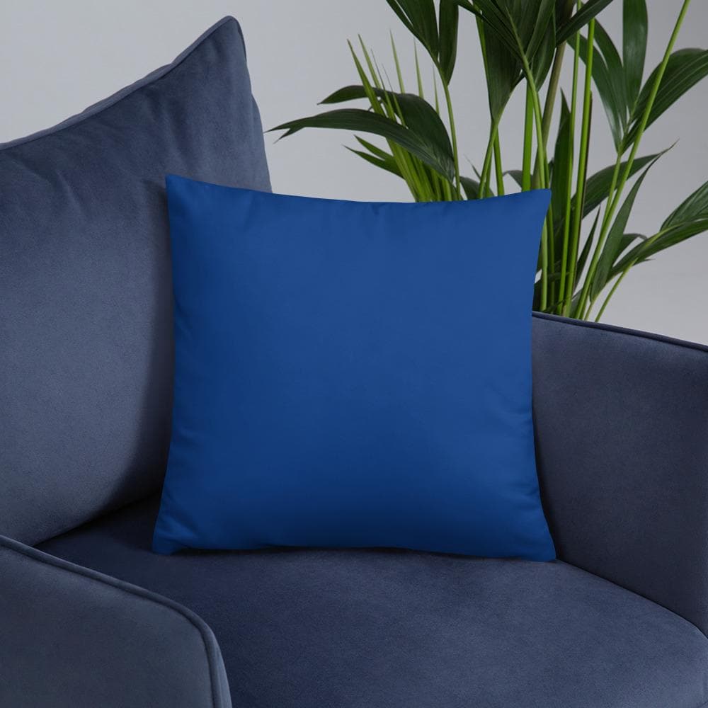 Reader Leader Basic Throw Pillow - MONLANE
